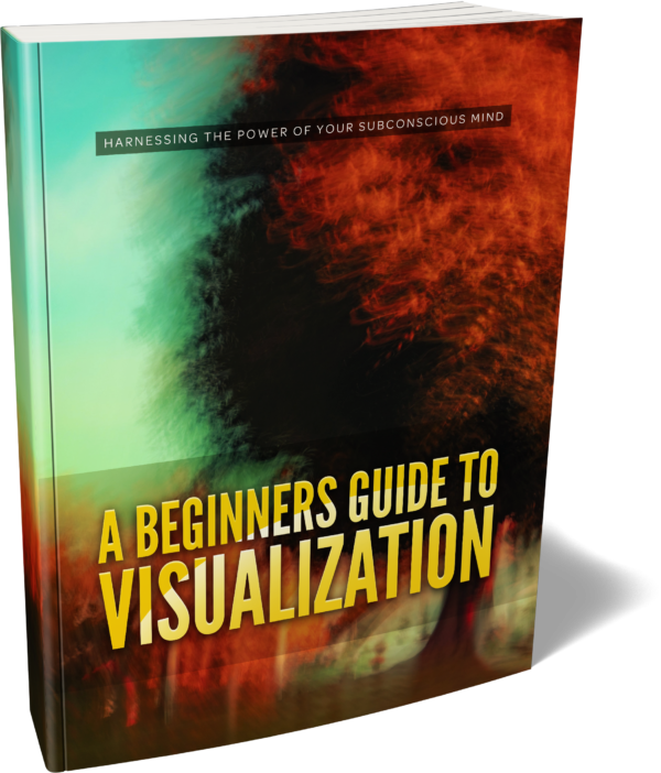 A Beginners Guide To Visualization Ebook