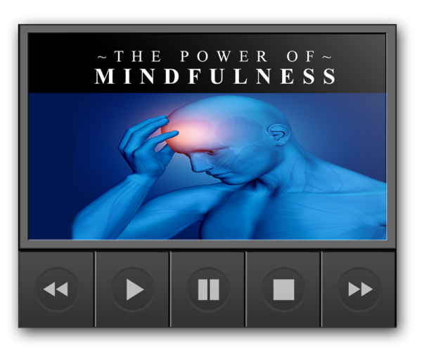 The Power of Mindfulness Videos