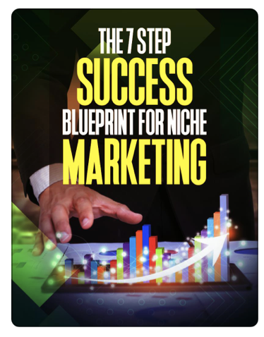 Modern Niche Marketing 7 step success