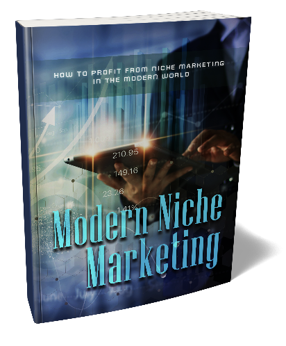 Modern Niche Marketing ebook